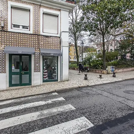 Flores - 22668al * Lisbona